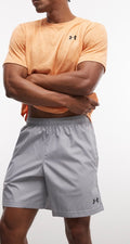 Under Armour Grey Vanish shorts